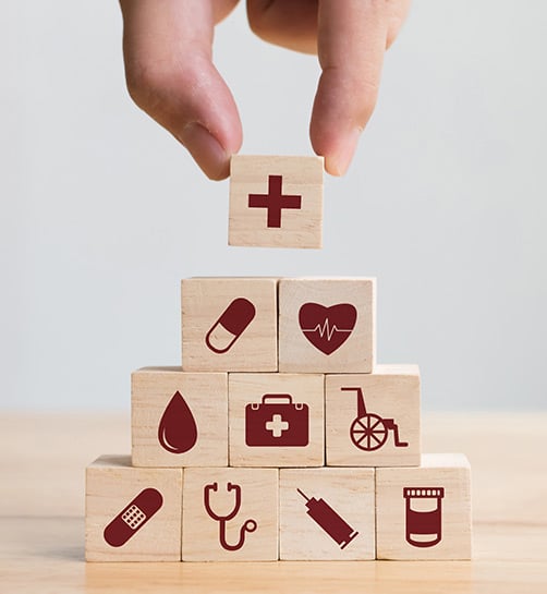 Proactive Health Care Concept with Building Blocks of Health